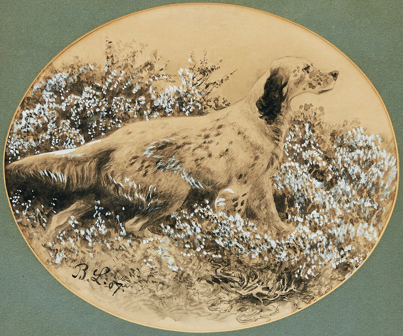 Setteri - Bruno Liljefors