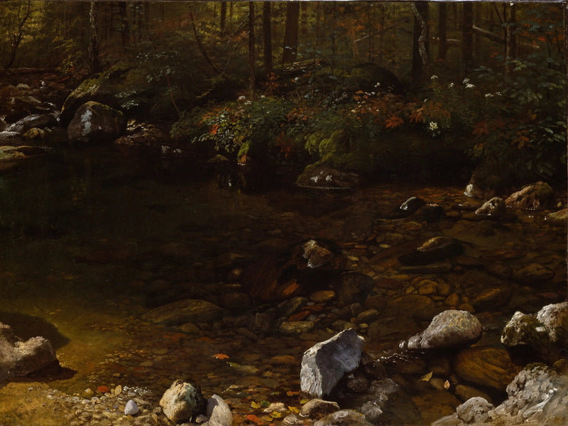 Varjoisa allas, Valkoiset vuoret, New Hampshire - Albert Bierstadt