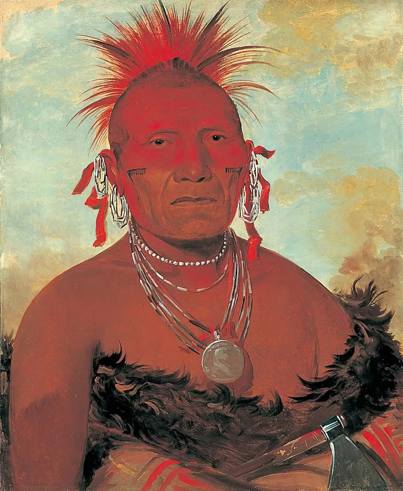 Shón-ka-ki-he-ga, hevosen päällikkö, suuri Pawnee-johtaja - George Catlin