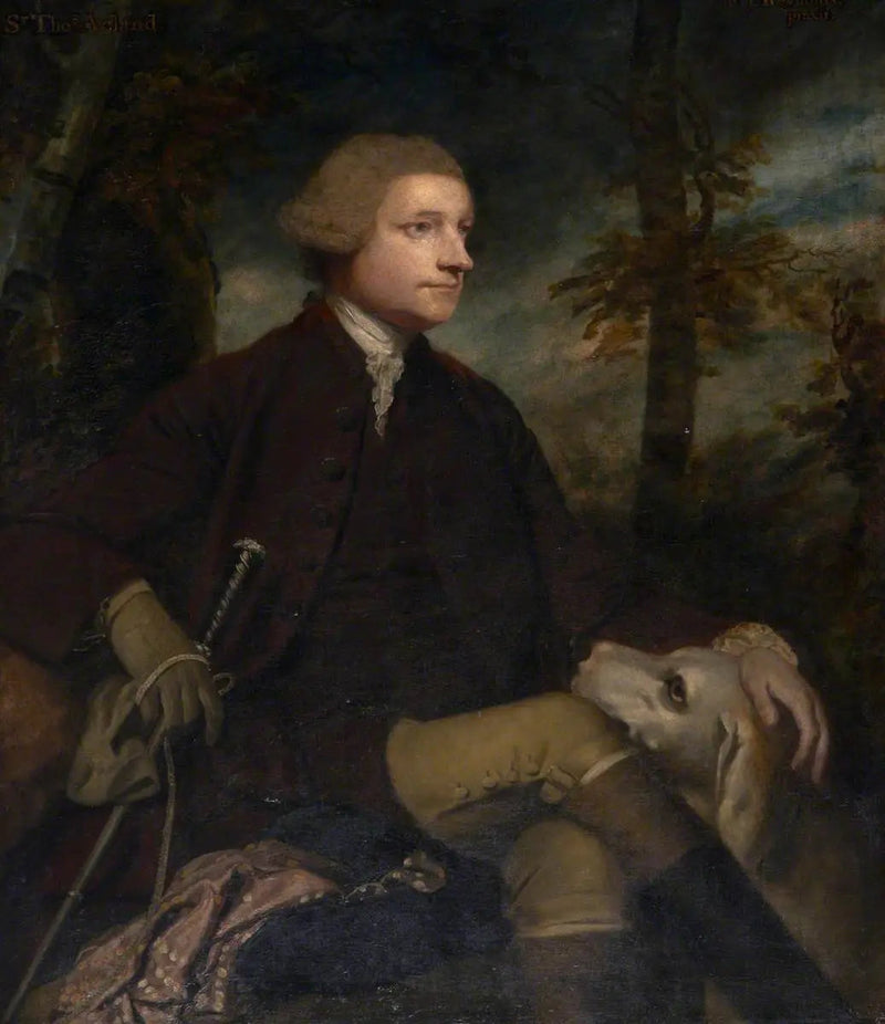 Sir Thomas Dyke Acland, 3./7. baronetti Acland de Columb-John kansanedustaja (1722–1785) - Joshua Reynolds