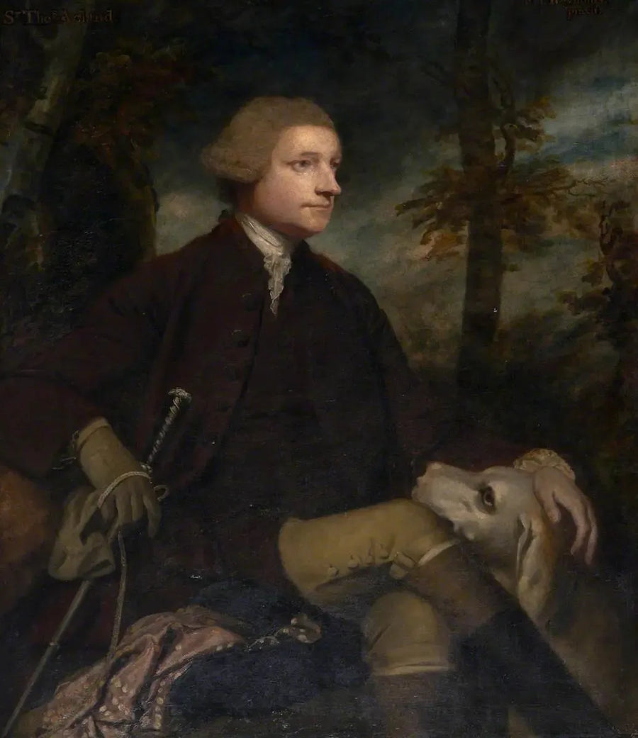 Sir Thomas Dyke Acland, 3./7. baronetti Acland de Columb-John kansanedustaja (1722–1785) - Joshua Reynolds