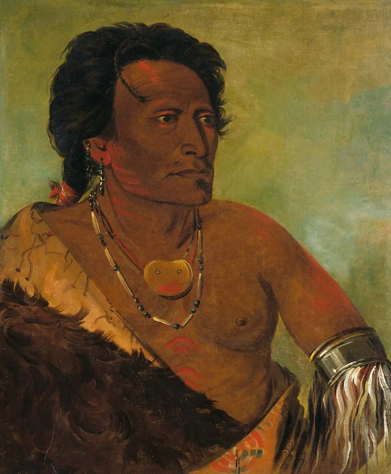 Sky-se-ró-ka, toinen johtaja heimossa - George Catlin