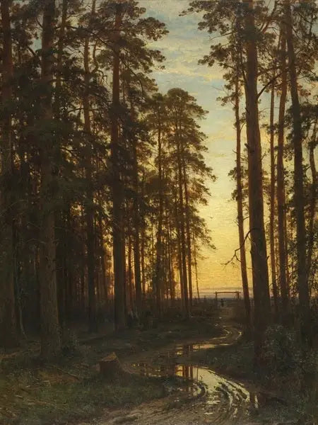 Ilta metsässä mäntyjen - Ivan Chichkine