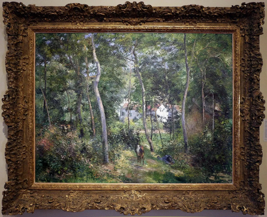 Aluskasvillisuus Hermitagessa, Pontoise / Hermitagin tausta - Camille Pissarro