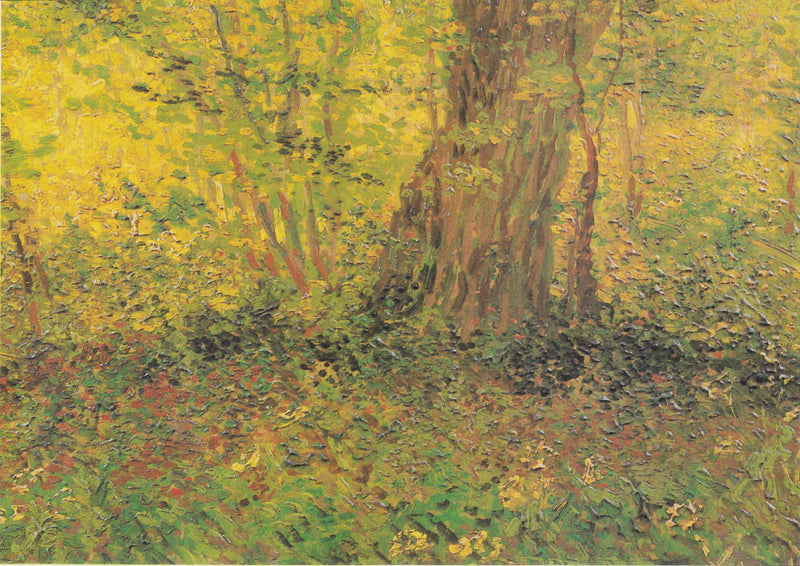 Aluskasvillisuus - Vincent van Gogh
