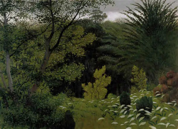 Aluskasvillisuus - Félix Vallotton