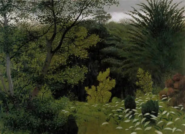 Aluskasvillisuus - Félix Vallotton
