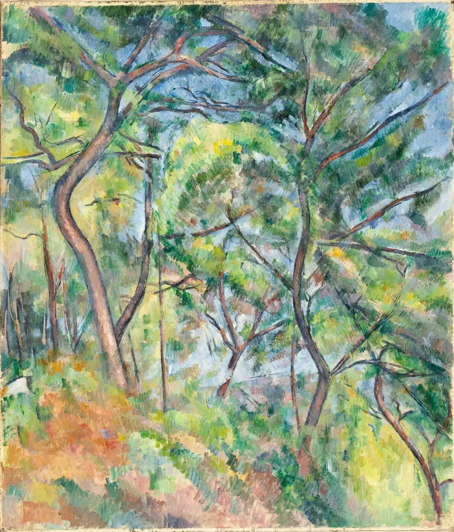 Aluskasvillisuus - Paul Cézanne