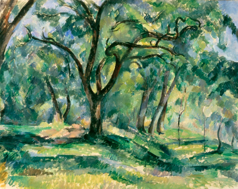 Aluskasvillisuus - Paul Cézanne