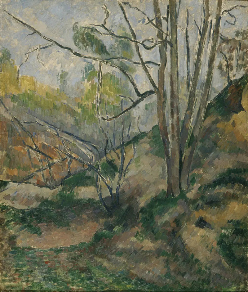 Aluskasvillisuus - Paul Cézanne