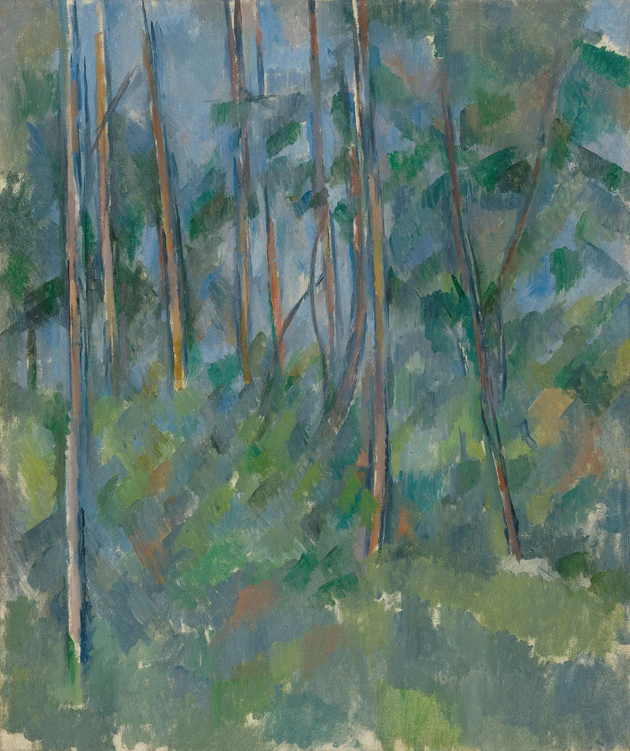 Aluskasvillisuus - Paul Cézanne