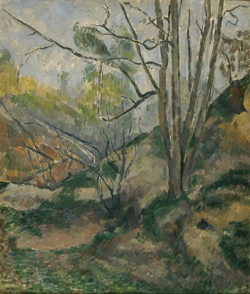 Aluskasvillisuus - Paul Cézanne