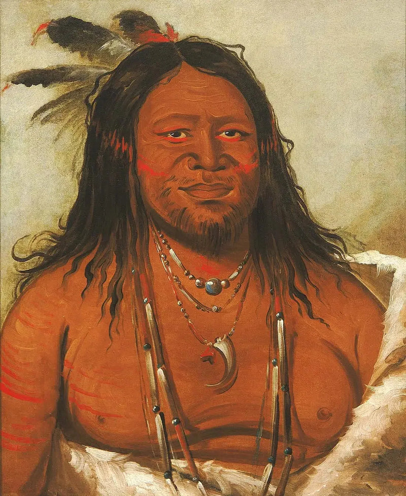 Ta-wáh-que-nah, Kivien vuori, Tribuun toinen johtaja - George Catlin