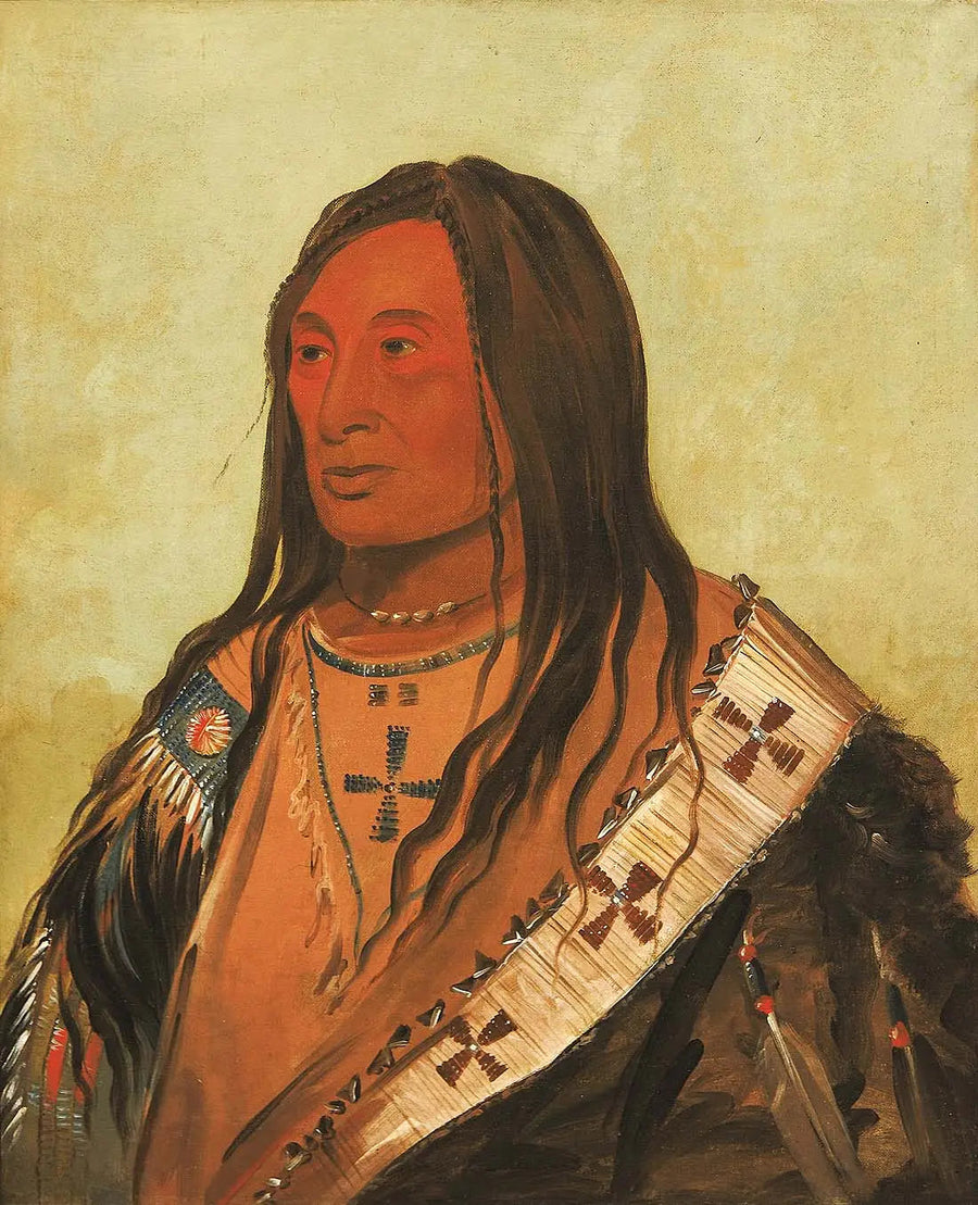 Táh-zee-keh-dá-cha, Vatsan revitty, kunnon mies - George Catlin