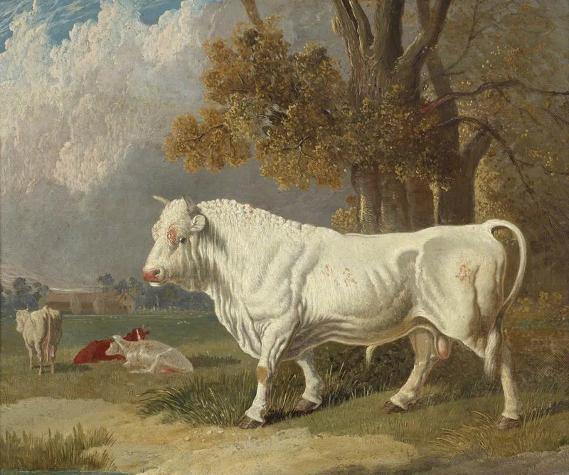 Valkoinen härkä, Fulbourn, Cambridgeshire, 1830 - John Frederick Herring, Sr.
