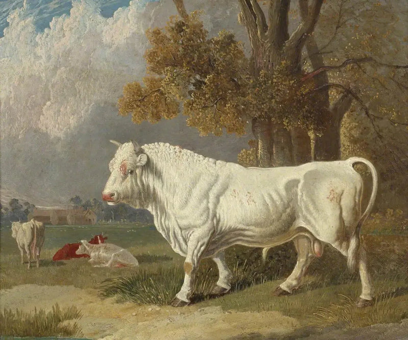 Valkoinen härkä, Fulbourn, Cambridgeshire, 1830 - John Frederick Herring, Sr.