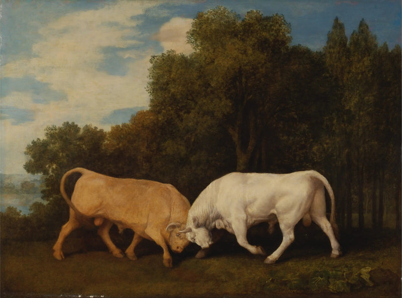 Härkät - George Stubbs