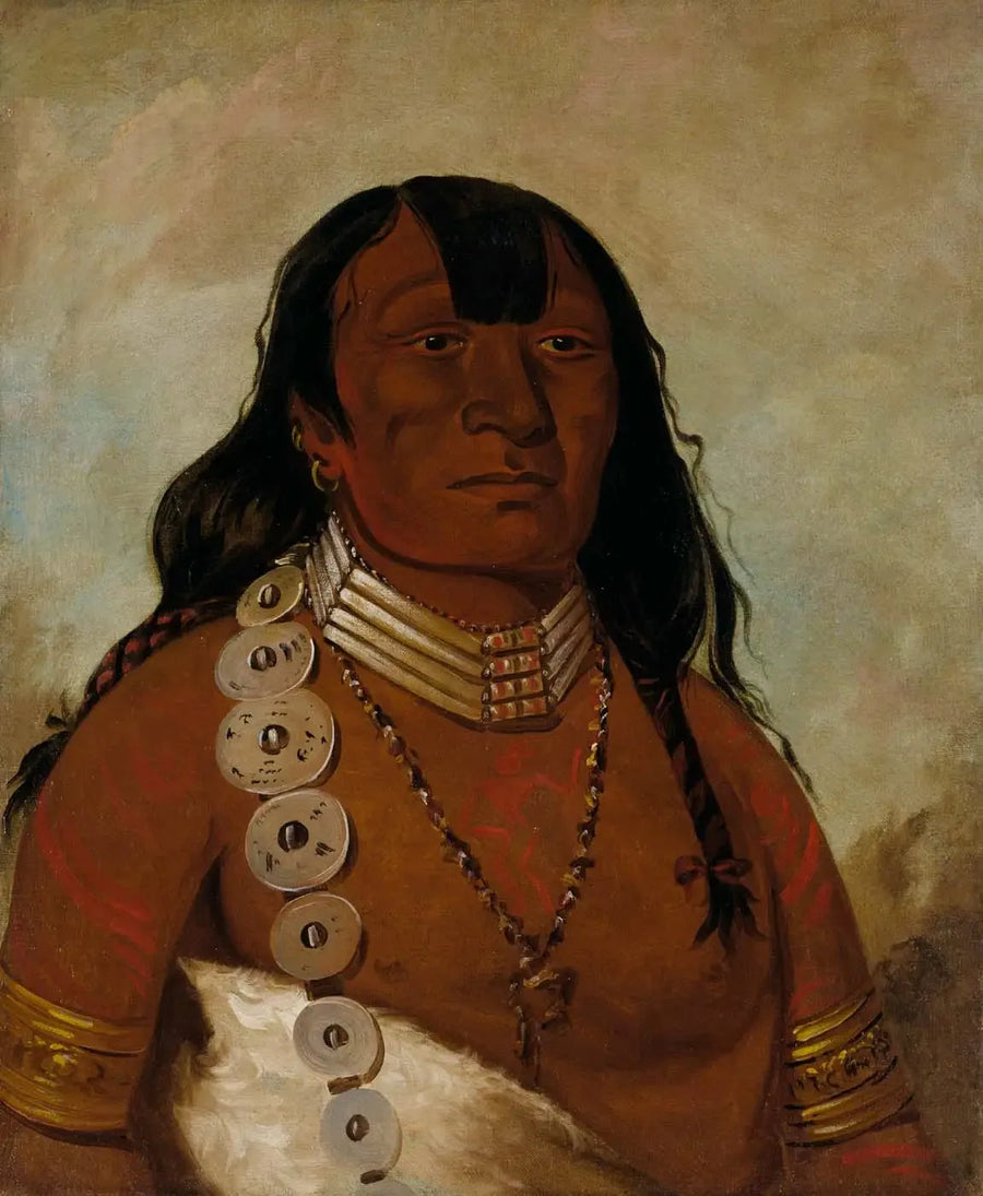 Téh-tóot-sah (tunnetaan myös nimellä Tohausen, Little Bluff), ensimmäinen päällikkö - George Catlin