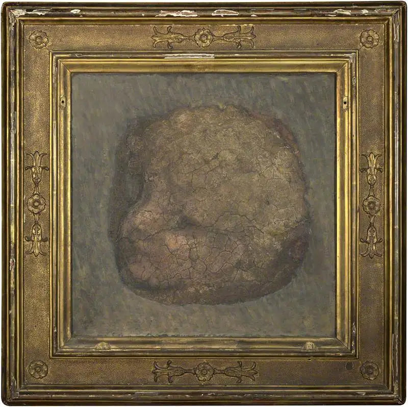 Enkelin pää - Antonio da Correggio