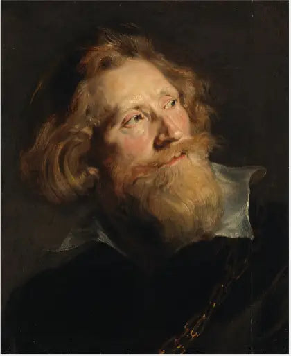 Tête d'homme barbu - Peter Paul Rubens image 1 reproduction de peinture à l’huile