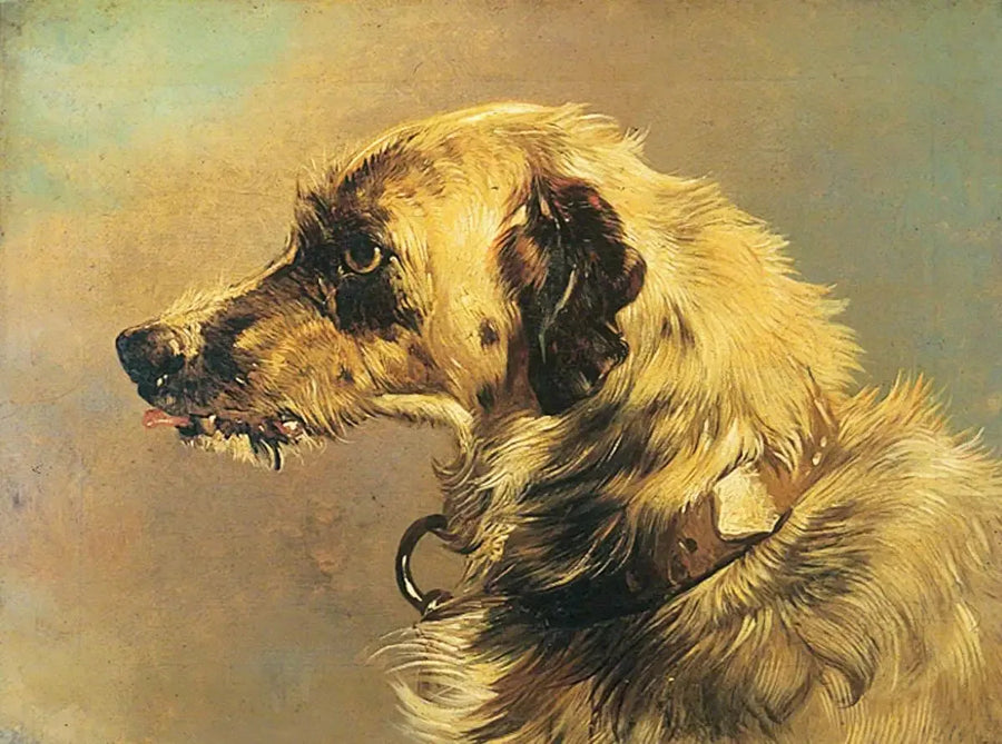 Juoksukoiran pää - Edwin Henry Landseer