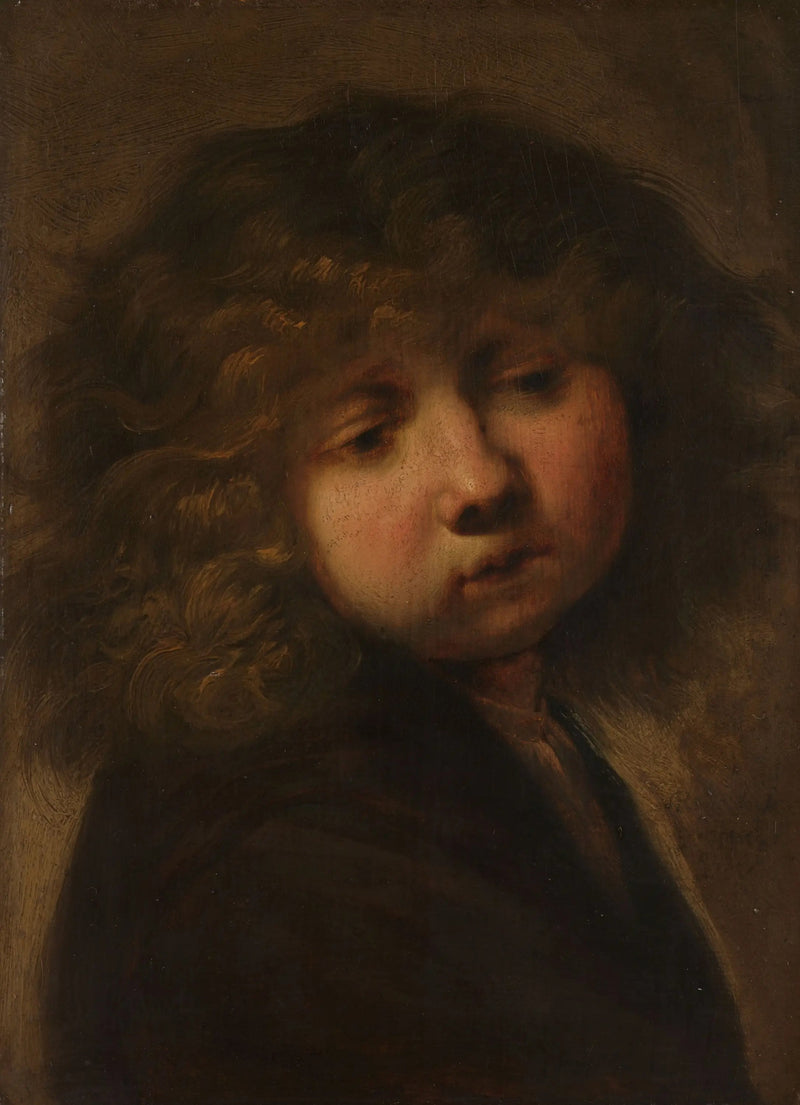 Poika pään kuva - Rembrandt