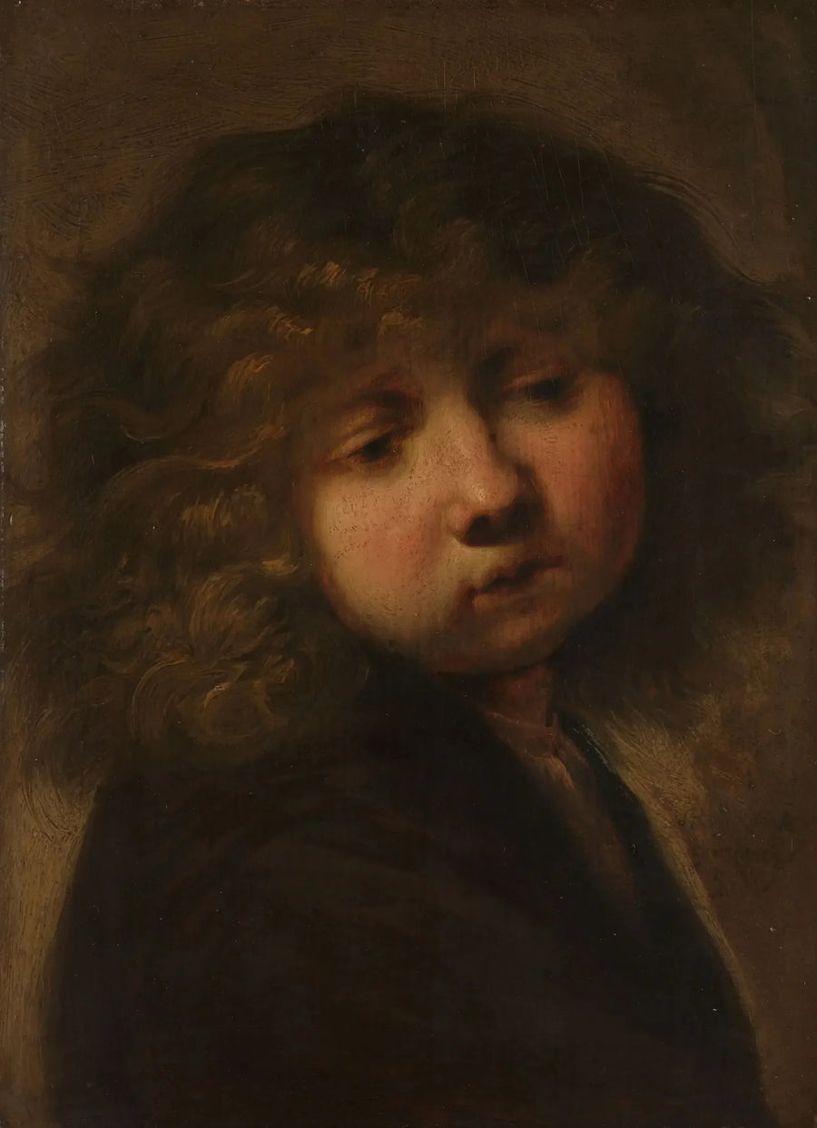 Poika pään kuva - Rembrandt