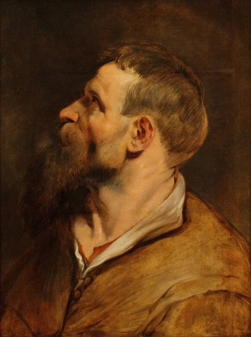 Partaisten miehen pää katsoen vasemmalle - Peter Paul Rubens