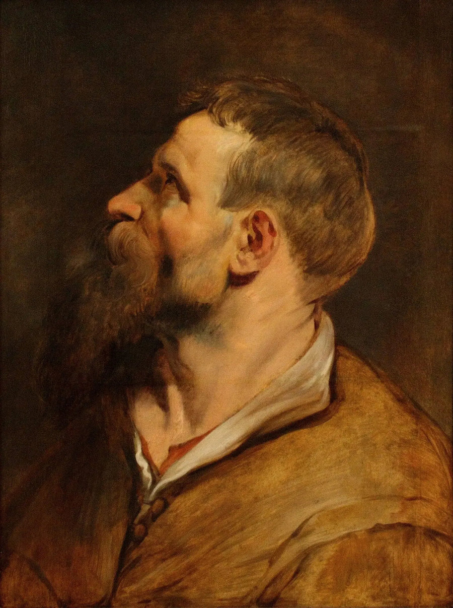 Partaisten miehen pää katsoen vasemmalle - Peter Paul Rubens