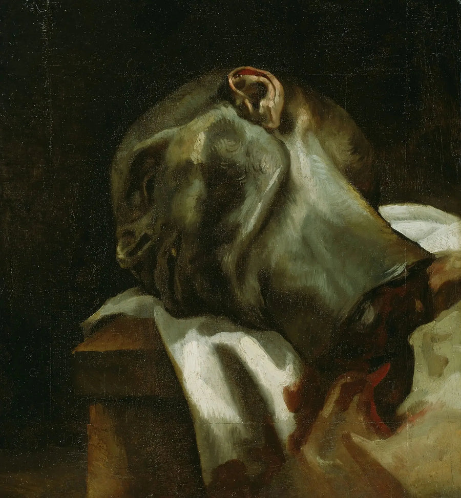 Giljotiinattu miehen pää - Théodore Géricault