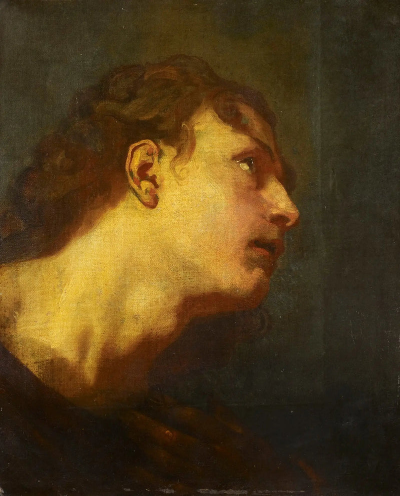 Nuoren miehen pää - Antoine van Dyck