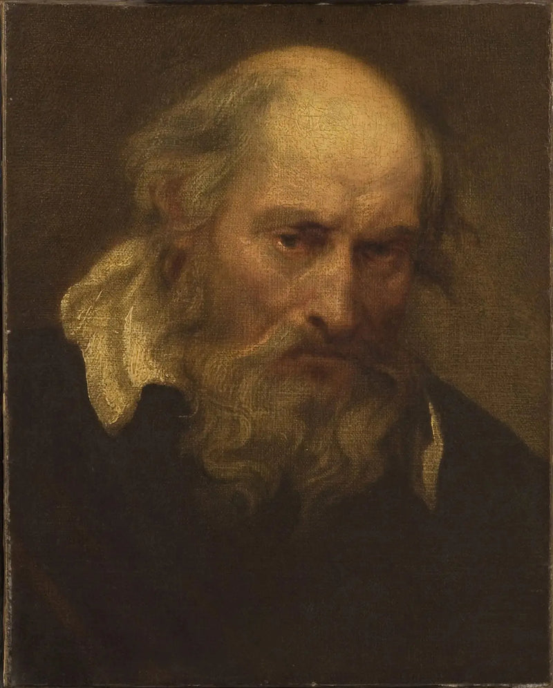 Vanhan miehen pää - Antoine van Dyck