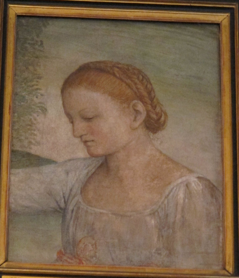 Tytön pää - Bernardino Luini