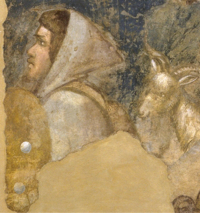 Laumanpää - Giotto
