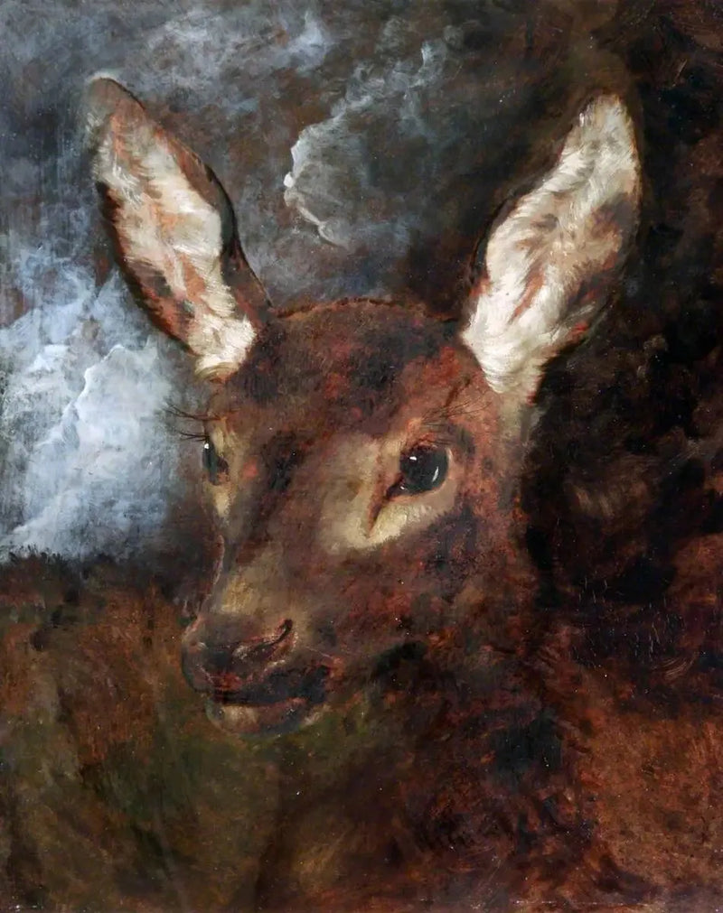 Peuran pää - Edwin Henry Landseer