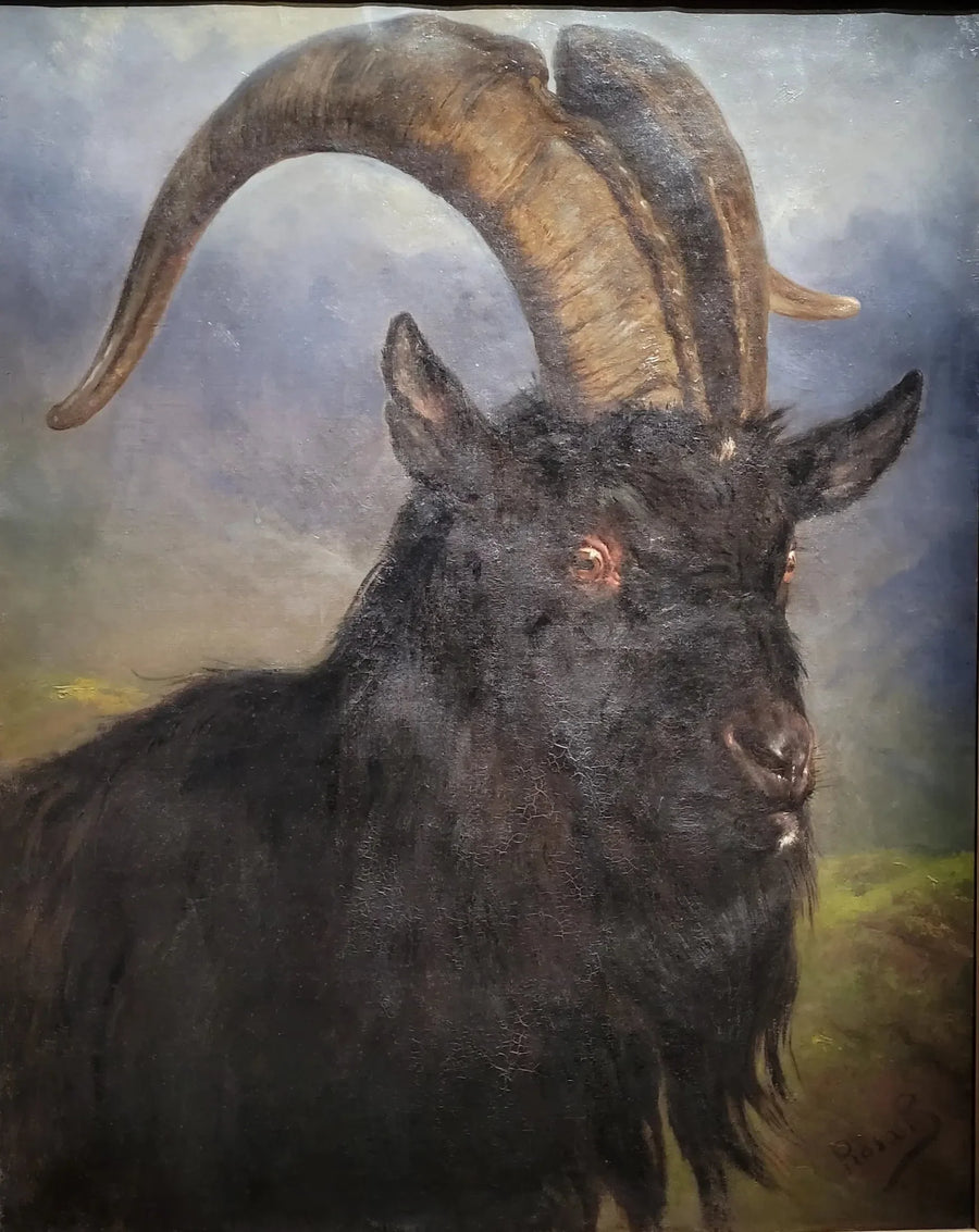 Pukkikasvot - Rosa Bonheur