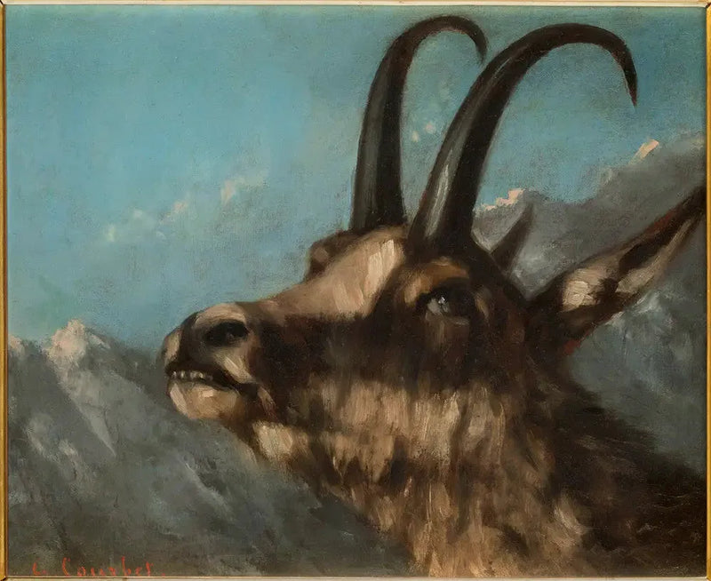 Kamzin pää - Gustave Courbet