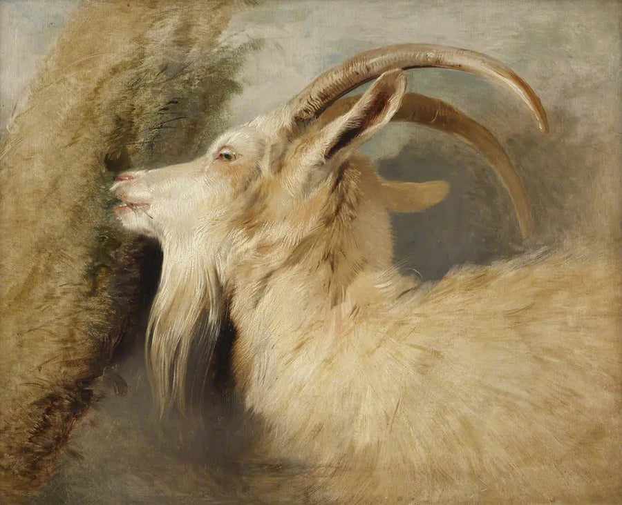 Paimenen pää - Edwin Henry Landseer
