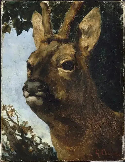 Pää vuohenvuohesta - Gustave Courbet