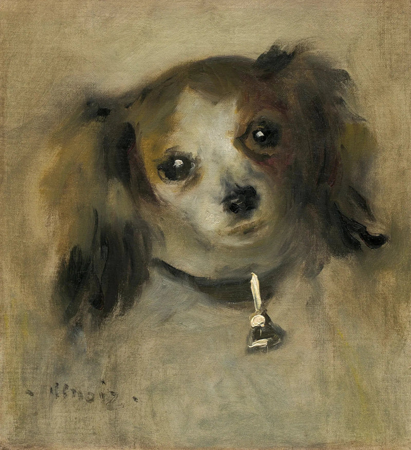 Koiran pää - Pierre-Auguste Renoir