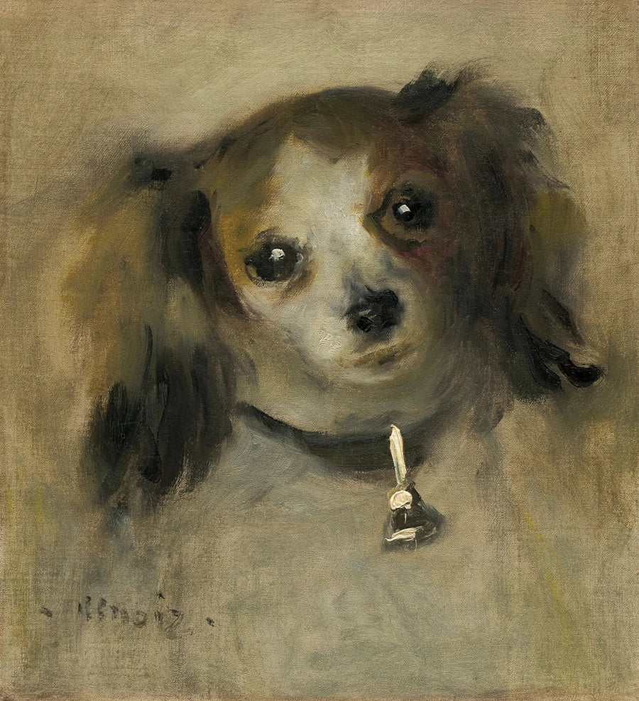 Koiran pää - Pierre-Auguste Renoir