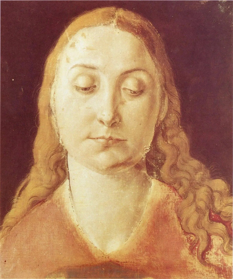 Naisen pää - Albrecht Dürer