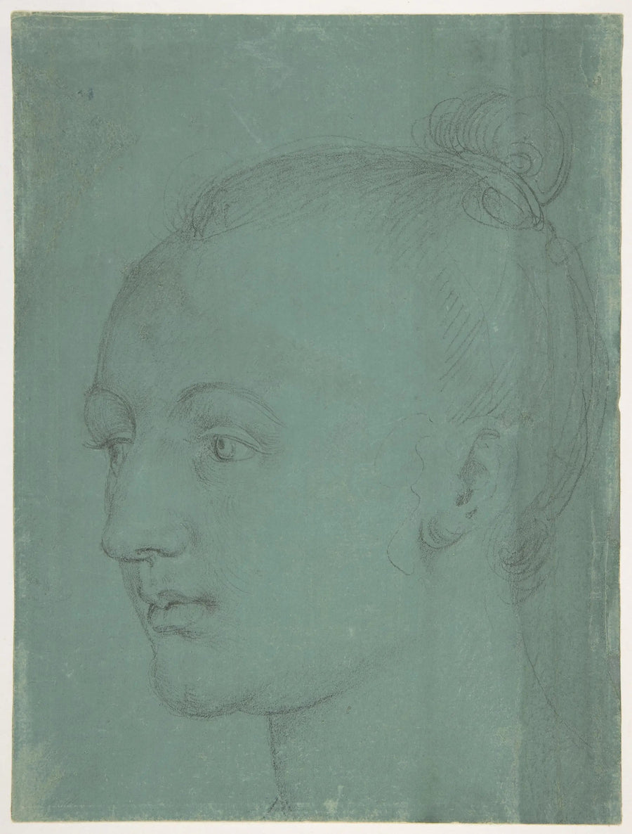 Nuoren naisen pää - Albrecht Dürer