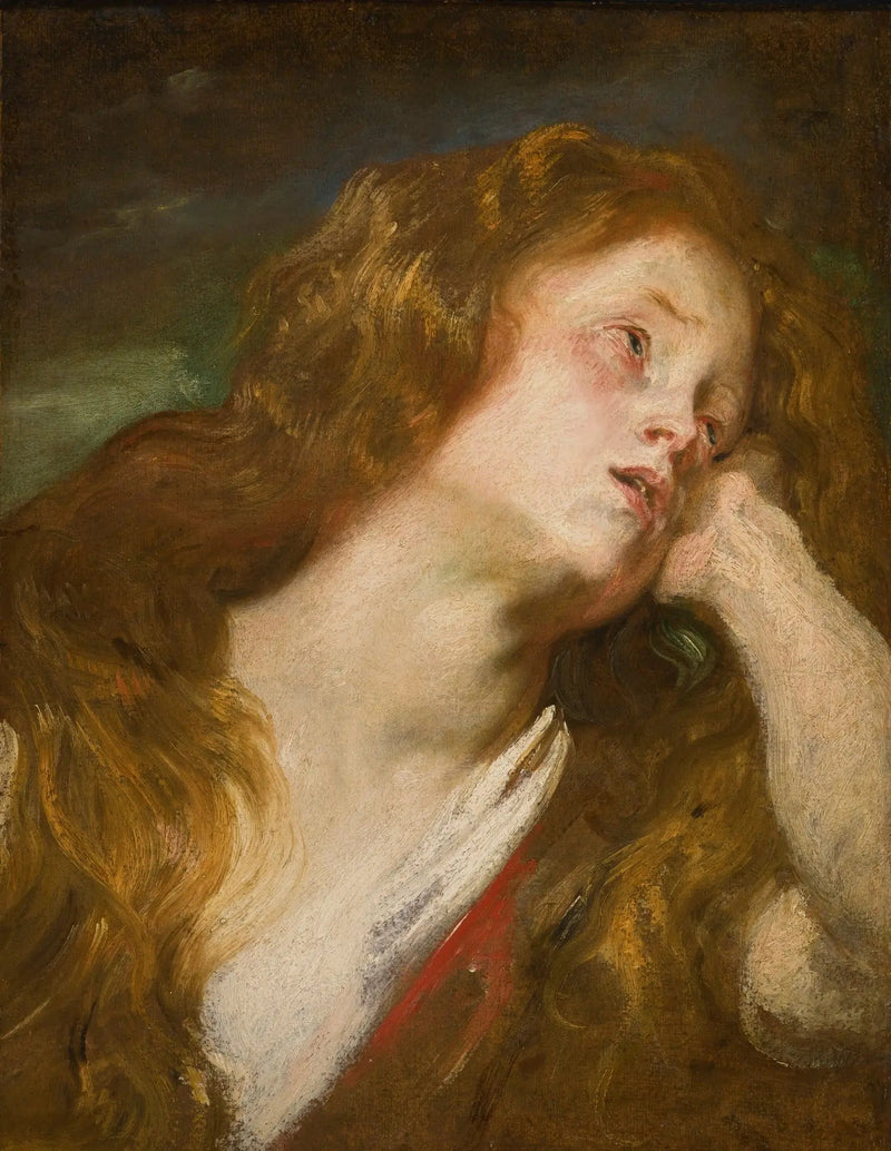 Nuoren naisen pää - Antoine van Dyck
