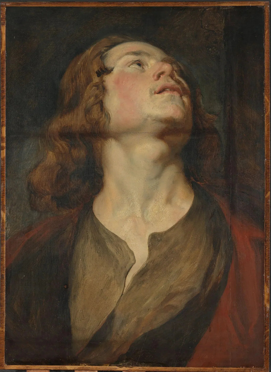 Pyhän Johanneksen pää - Antoine van Dyck
