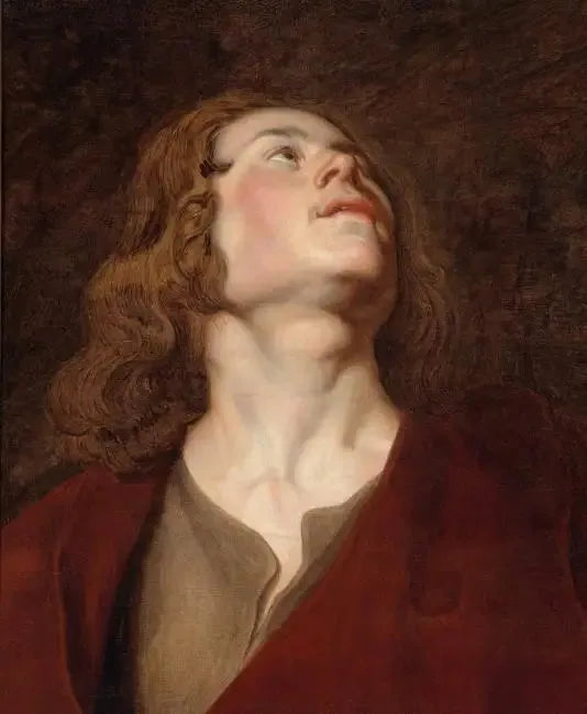 Pyhän Johanneksen pää - Peter Paul Rubens
