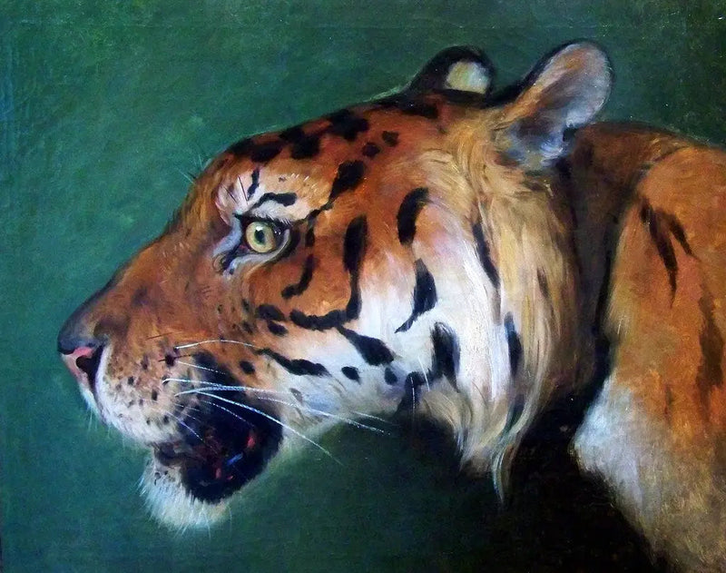Tiikerin pää - Eugène Delacroix