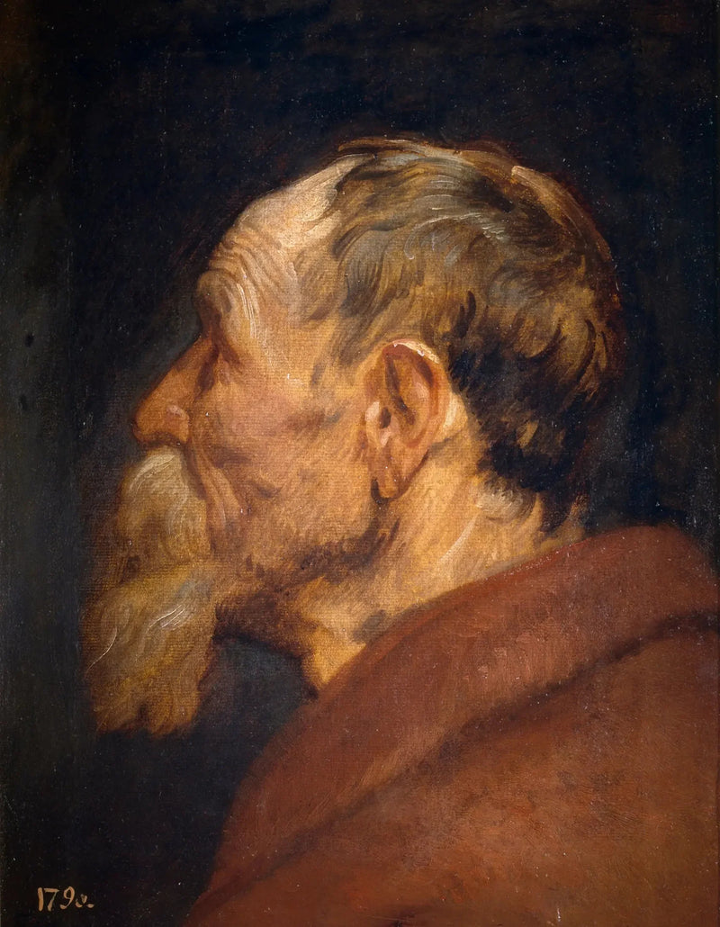 Vanhan miehen pää - Antoine van Dyck