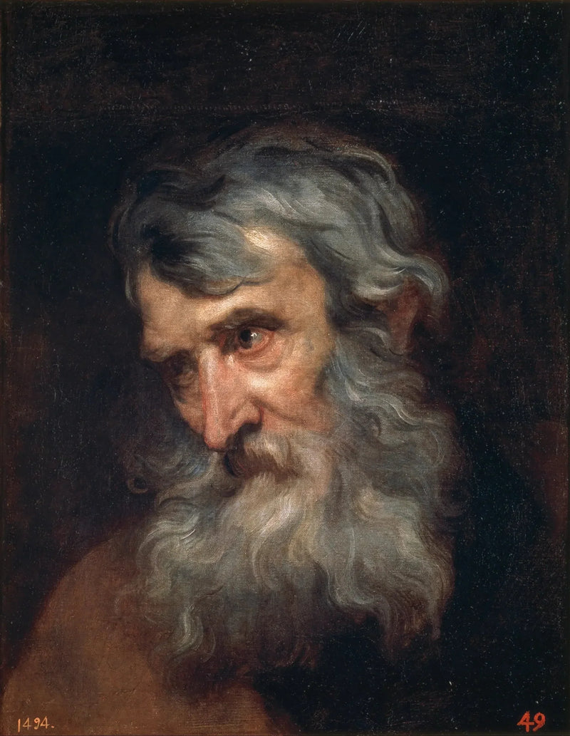 Vanhan miehen pää - Antoine van Dyck