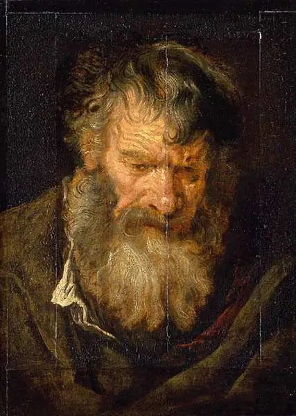 Vanhan miehen pää - Antoine van Dyck
